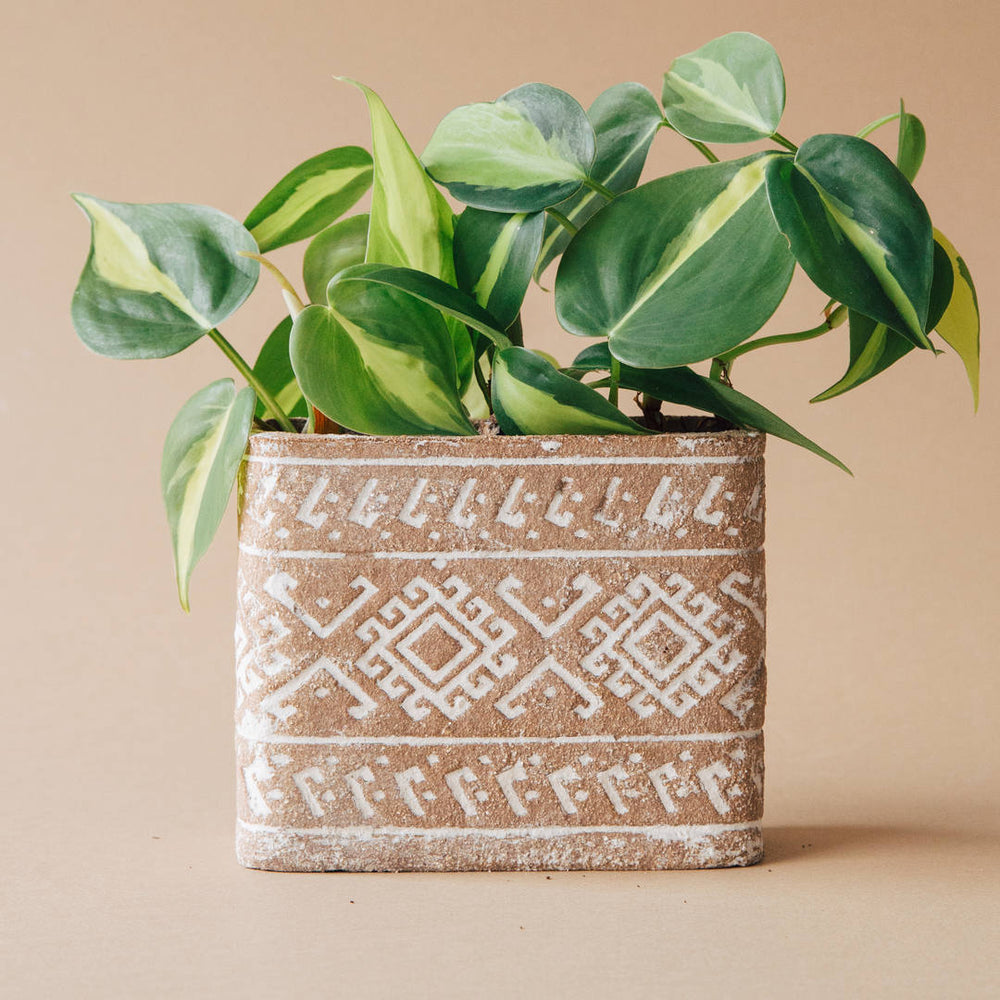 honey pot planter Honey Pot Basket: Kayenzi – Knot & Home main image 0