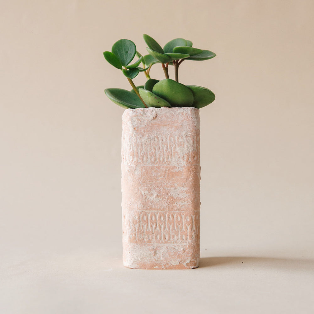 Terrakota 12 pot – Plantaku