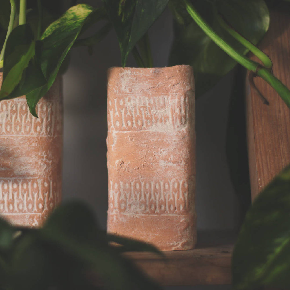 Terrakota 12 pot – Plantaku